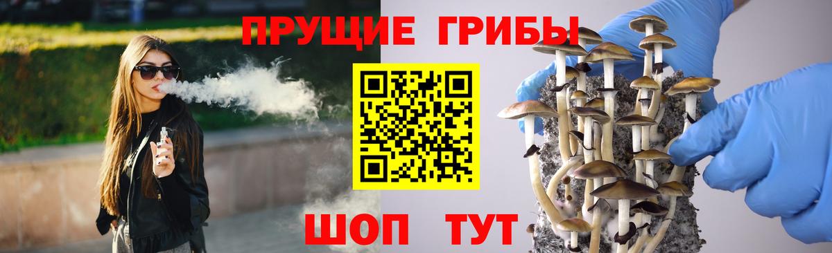 Галлюциногенные грибы прущие грибы  Вход с VPN  Пыть-Ях 